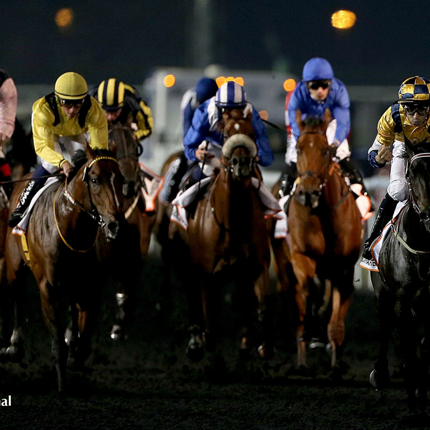 Ep 24: Spotlight on Ruler of the World and Mike De Kock at this year's Dubai World Cup