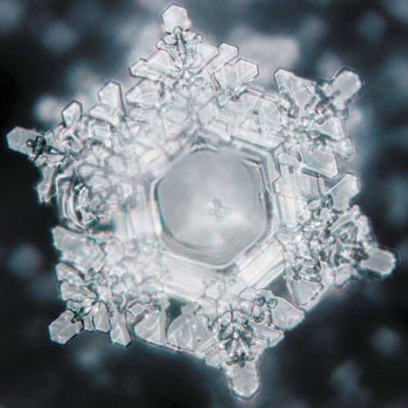 What do water, snowflakes and you have in common? episode artwork