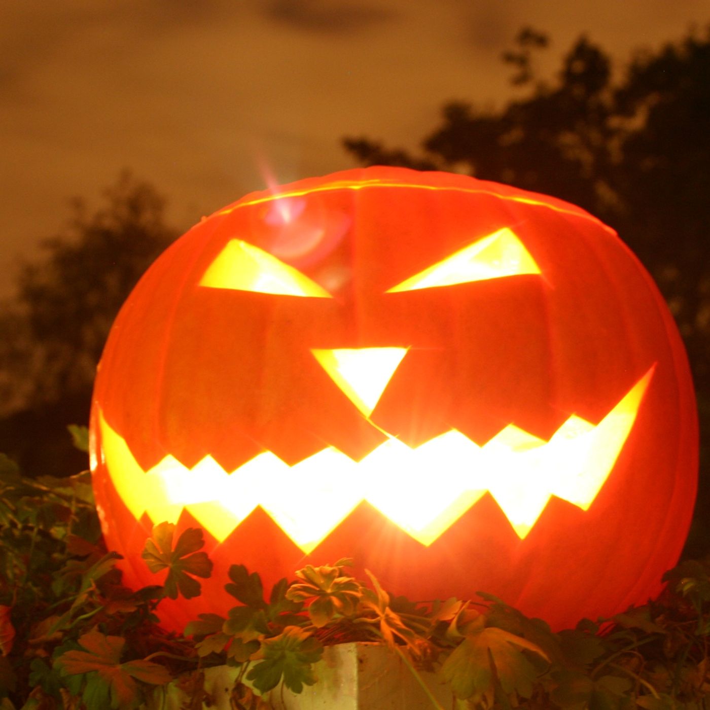 Trick or treaters had gas masks and knives episode artwork