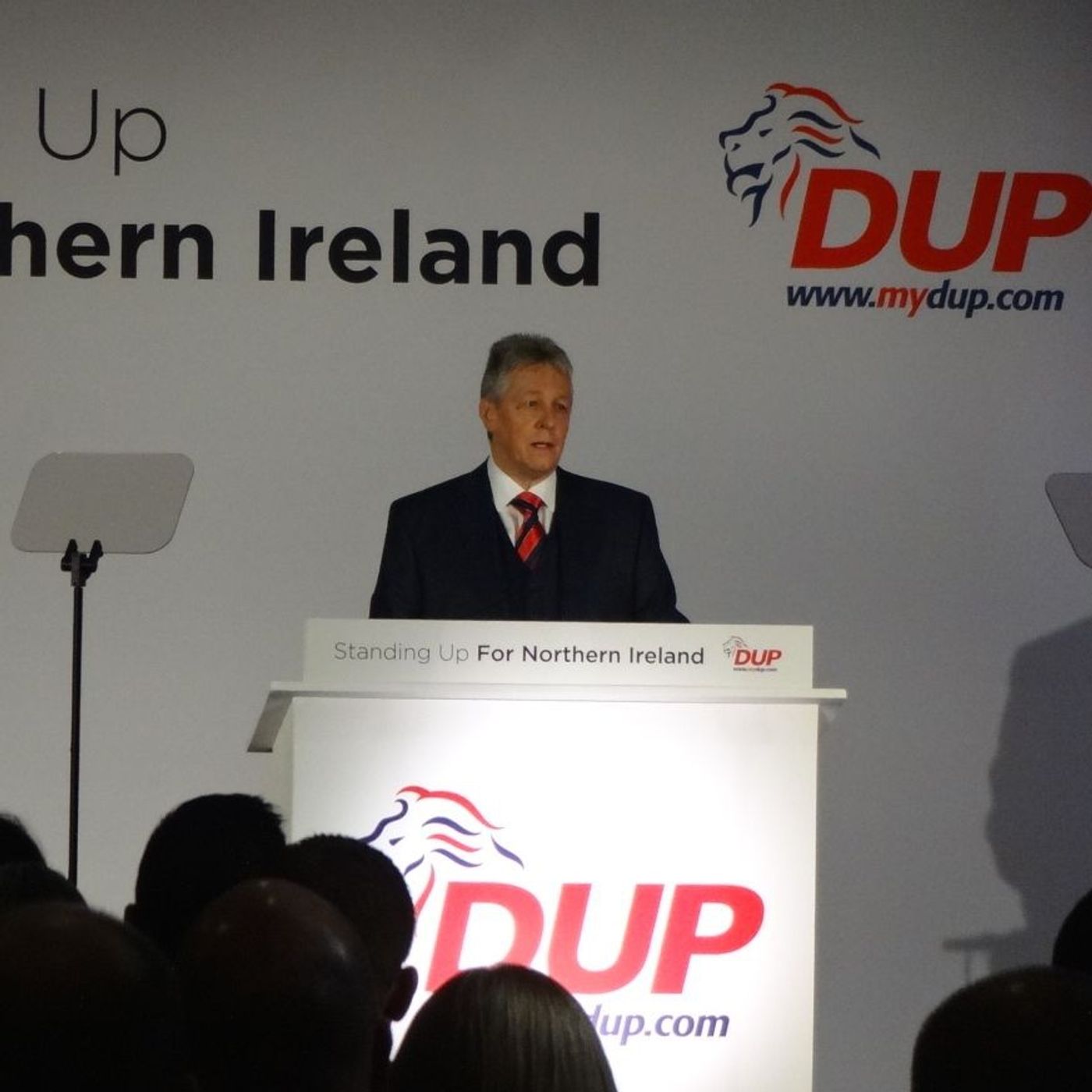#dup14 @dupleader on "flag lowering, parade stopping, gay marriage supporting, pro water charging, holier than thou Alliance Party" episode artwork