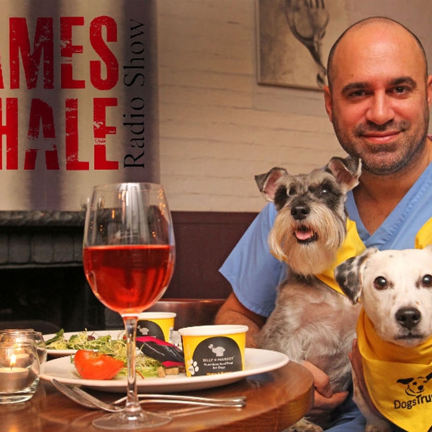 James Whale Radio Show – Ep.62 - Guest Marc Abraham (TV Vet / Vet of the year) episode artwork