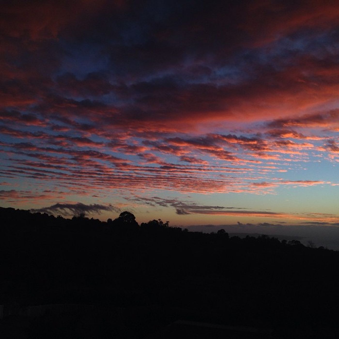 NEWS&WEATHERWatch: forJanuary 2, 2015 episode artwork