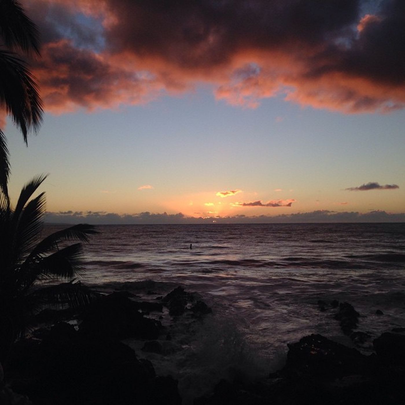 NEWS&WEATHERWatch: for January 9, 2015 episode artwork