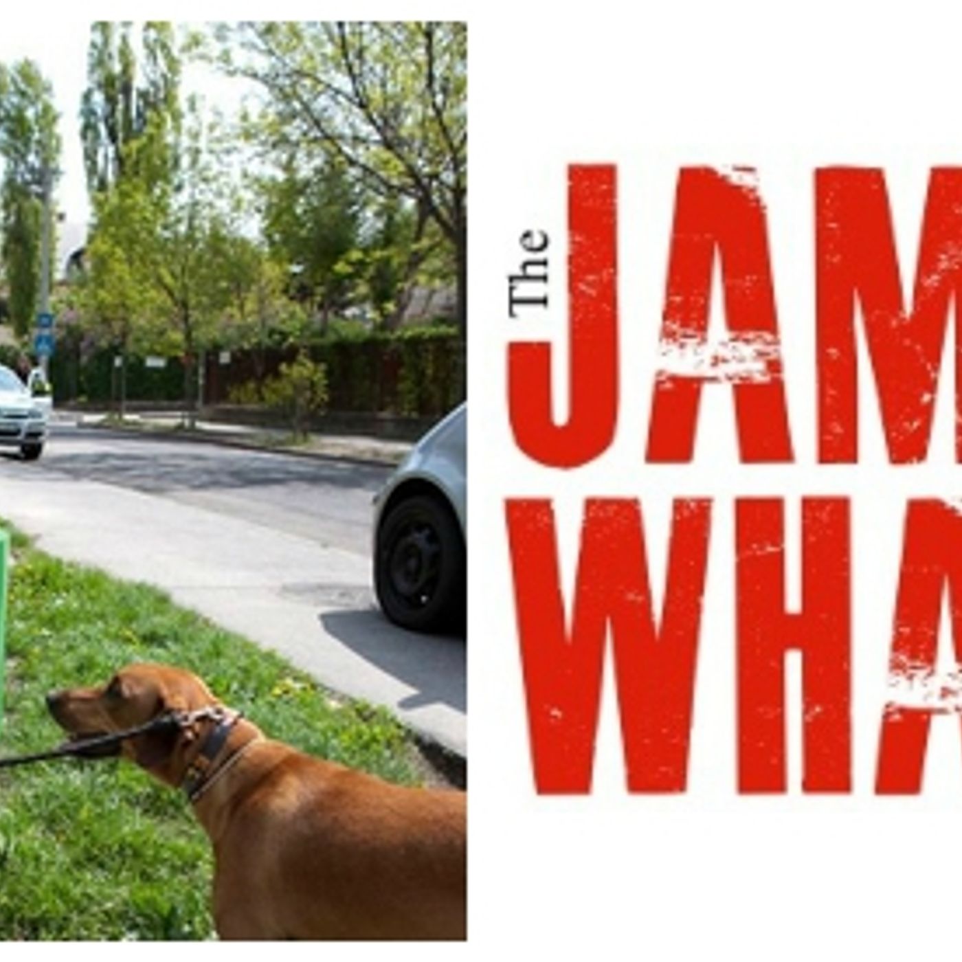 James Whale Radio Show – Ep.72 - The show with a bit of poo in it episode artwork