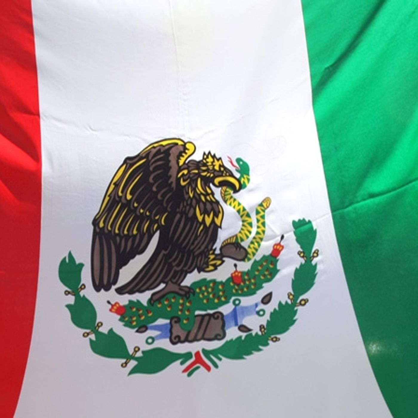 Feb. 24, 2015: Mexican Flag Day thumbnail