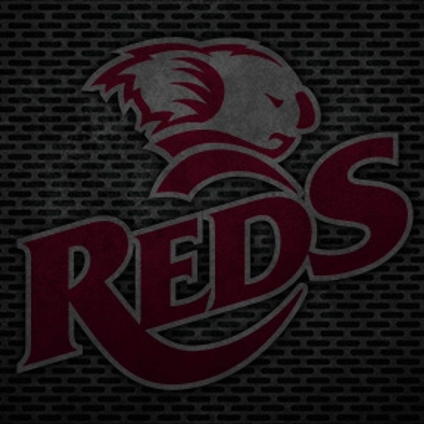 Reds Rugby:Reds Rugby