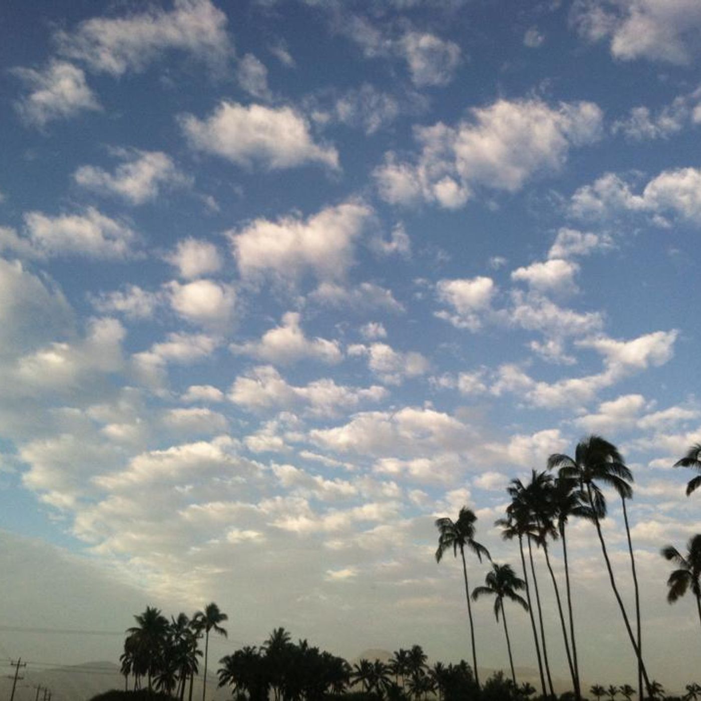 NEWS&WEATHERWatch for March 12, 2015 episode artwork