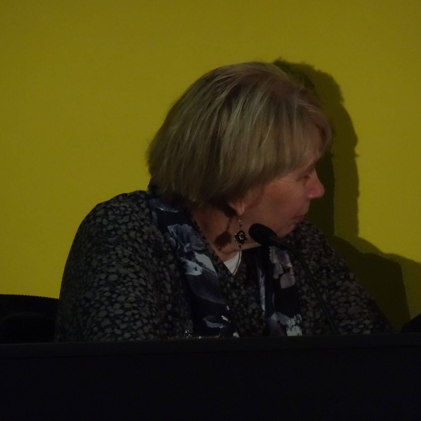 #ap2015 Mary Roulston (Head Teacher, Millennium Integrated Primary) episode artwork
