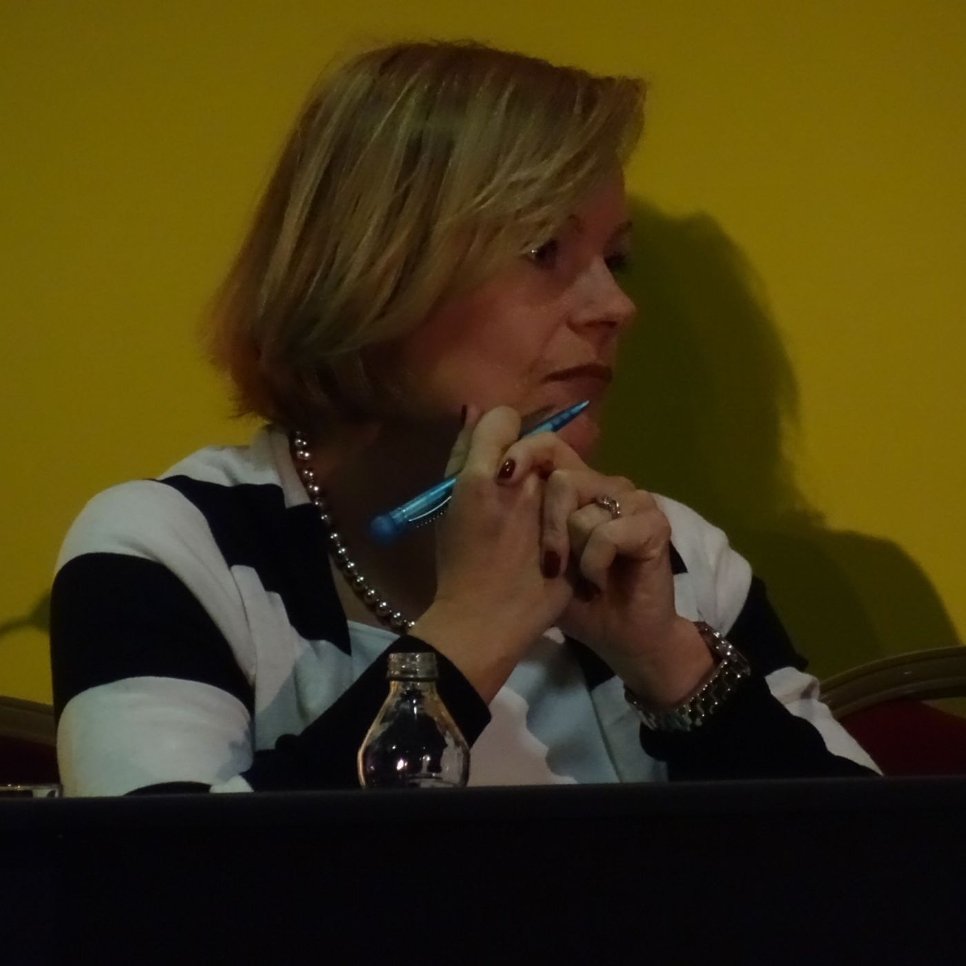 #ap2015 Anne McReynolds @AnneattheMAC from @TheMACBelfast episode artwork