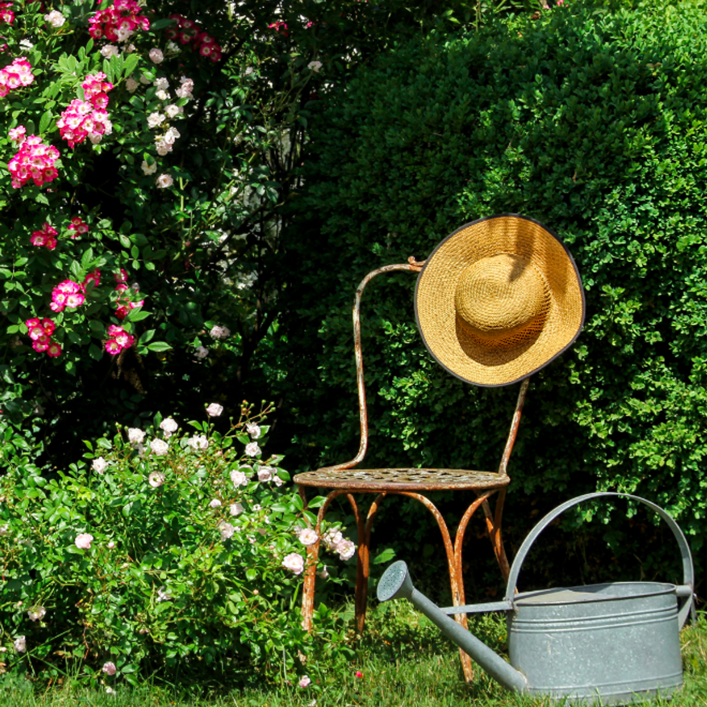 Alan Titchmarsh\'s Gardening Tips