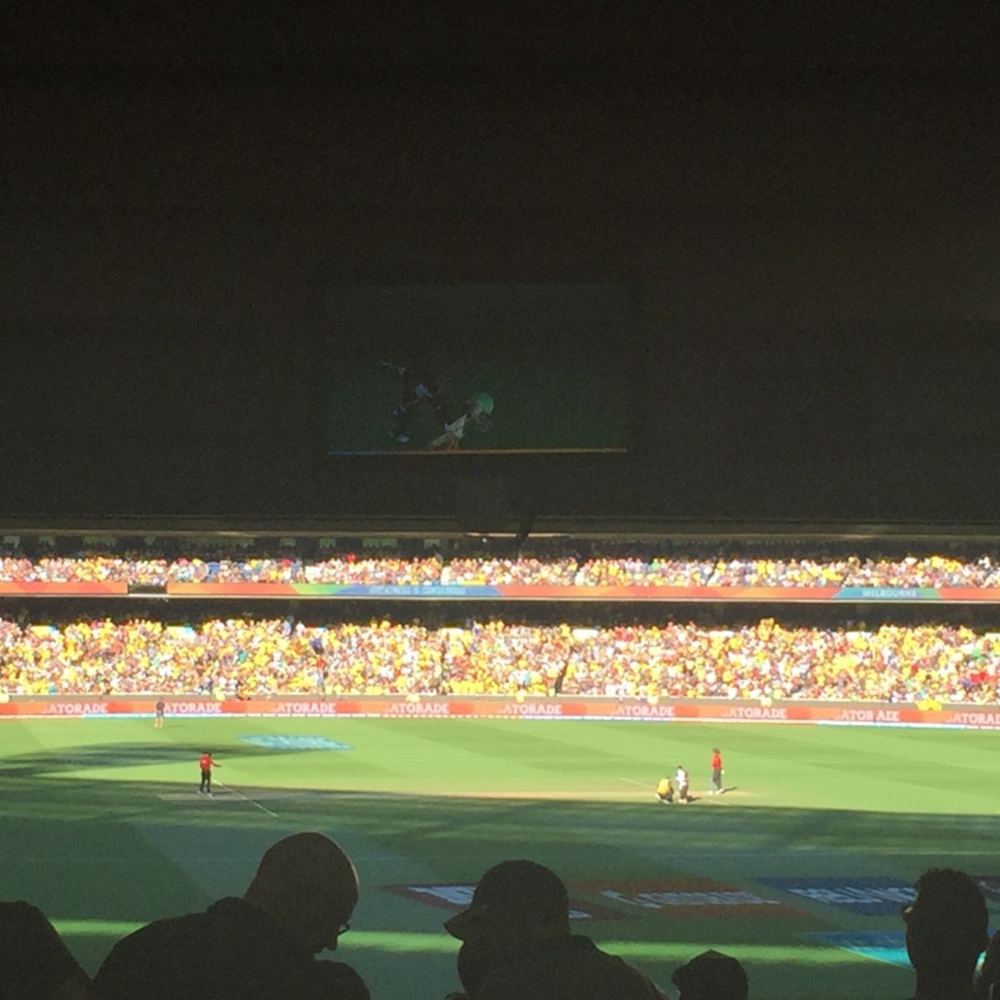 Another Kiwi wicket falls at the #MCG #CWC15Final #AUSvNZ episode artwork