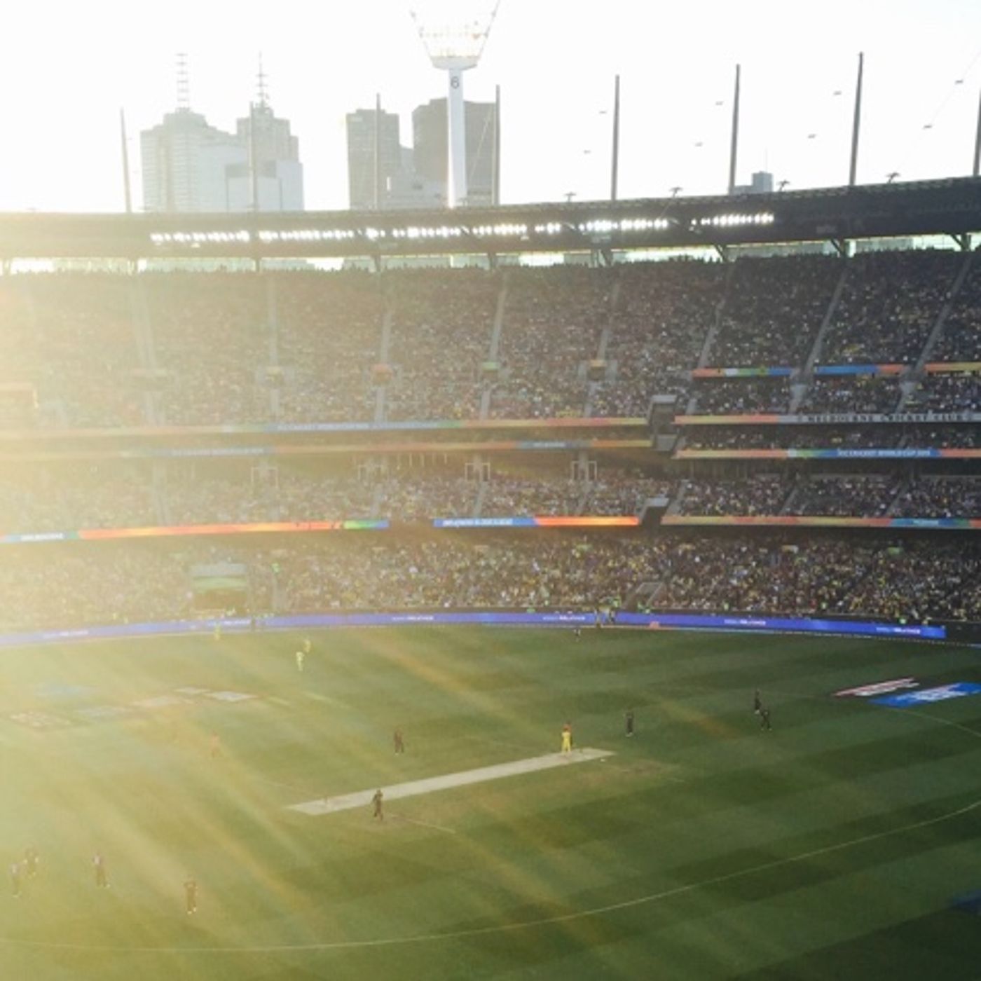NZ celebrate the early wicket #CWC15Final #AUSvNZ episode artwork