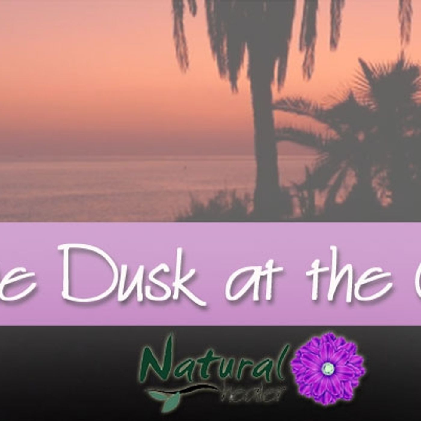 Sample of Divine Dusk at the Oasis episode artwork