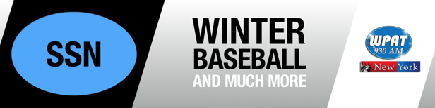 Winter League Baseball and More