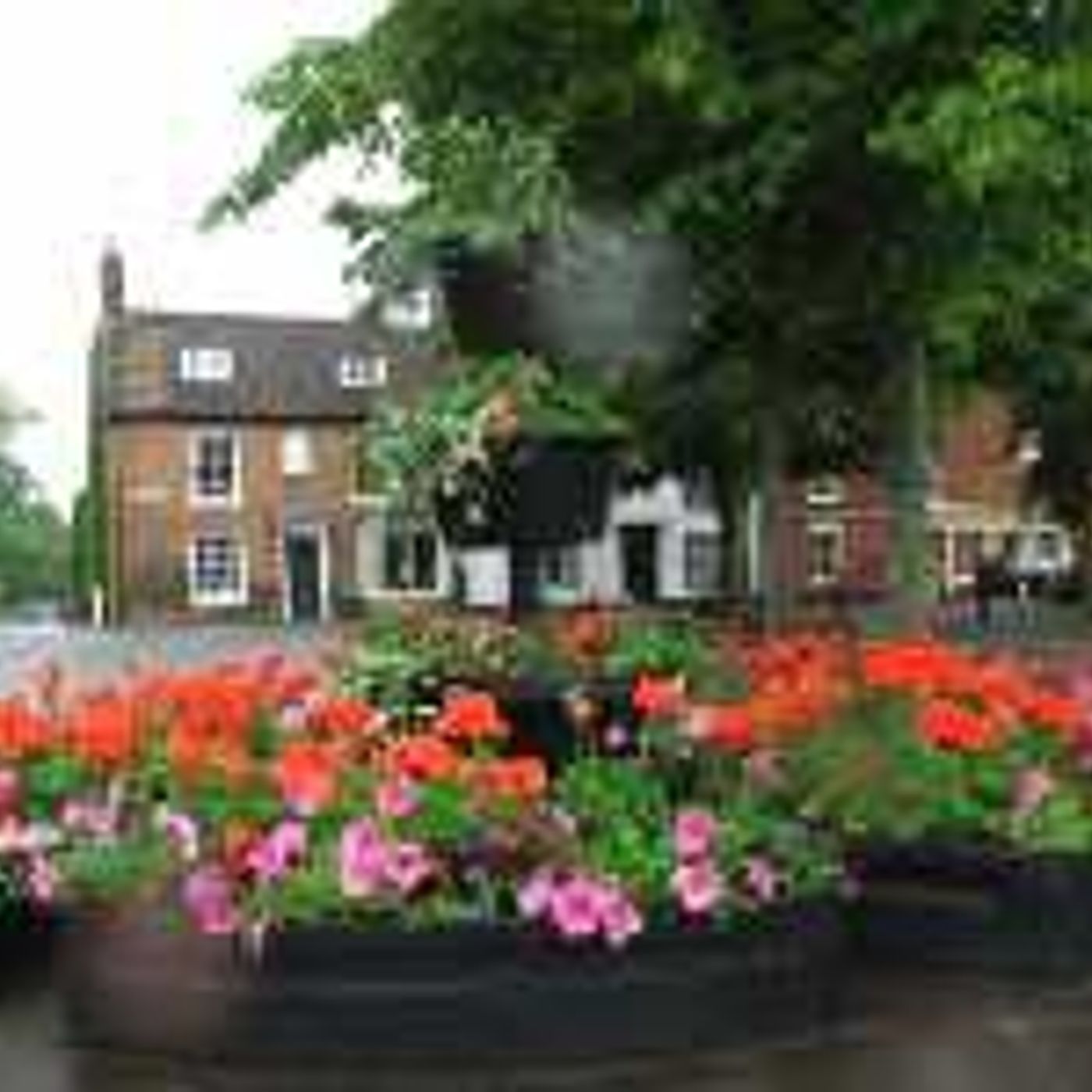 Stony Stratford has had floral displays stolen just days before Britain in Bloom judges inspect the town. Judy Deveson from the town's council: episode artwork