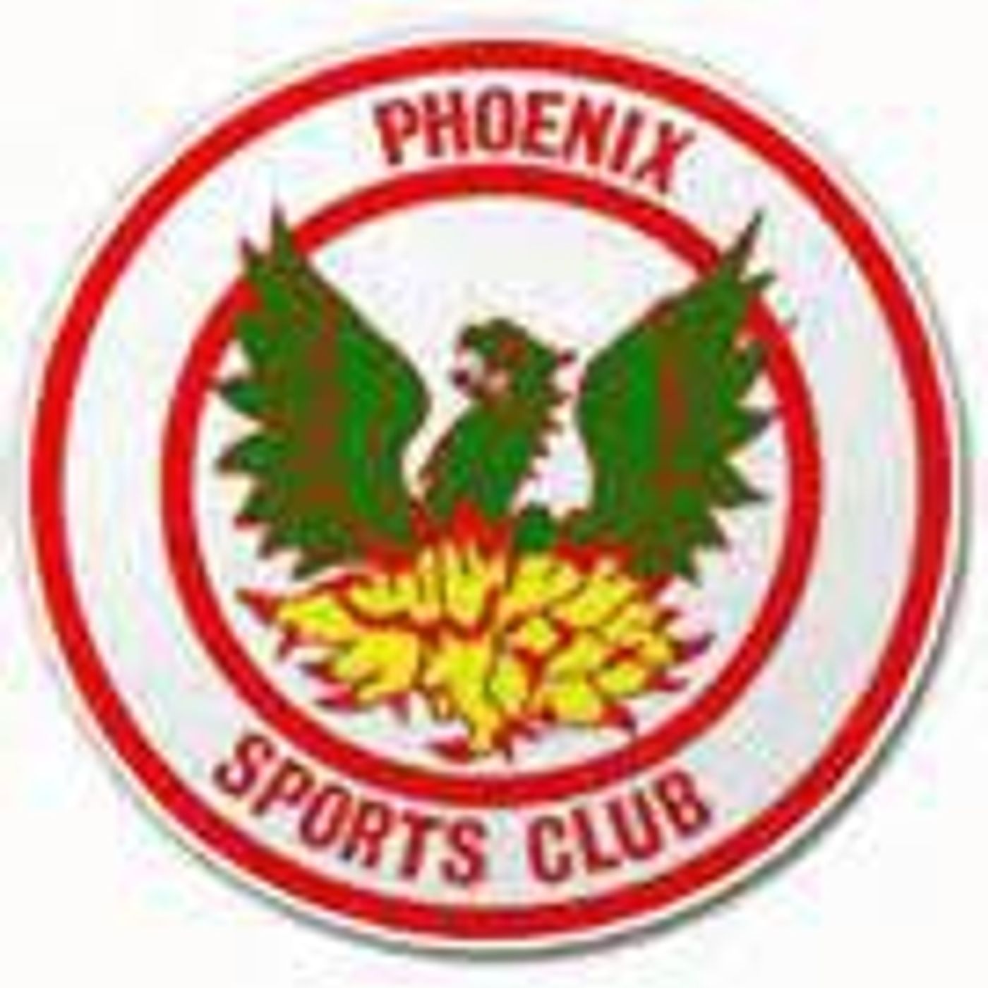 Ryman Round Up Show Season 2 with Steve O'Boyle Phoenix Sports 07.05.15 episode artwork