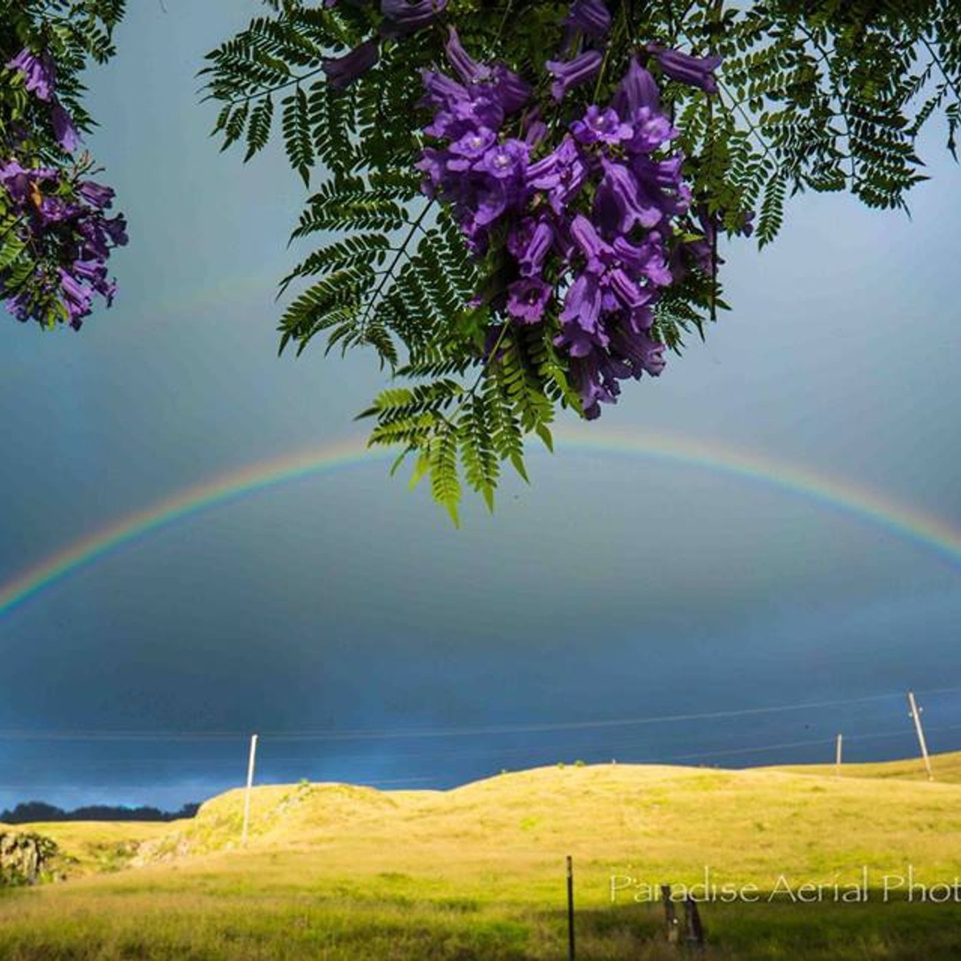 NEWS&WEATHERWatch for June 19, 2015 episode artwork