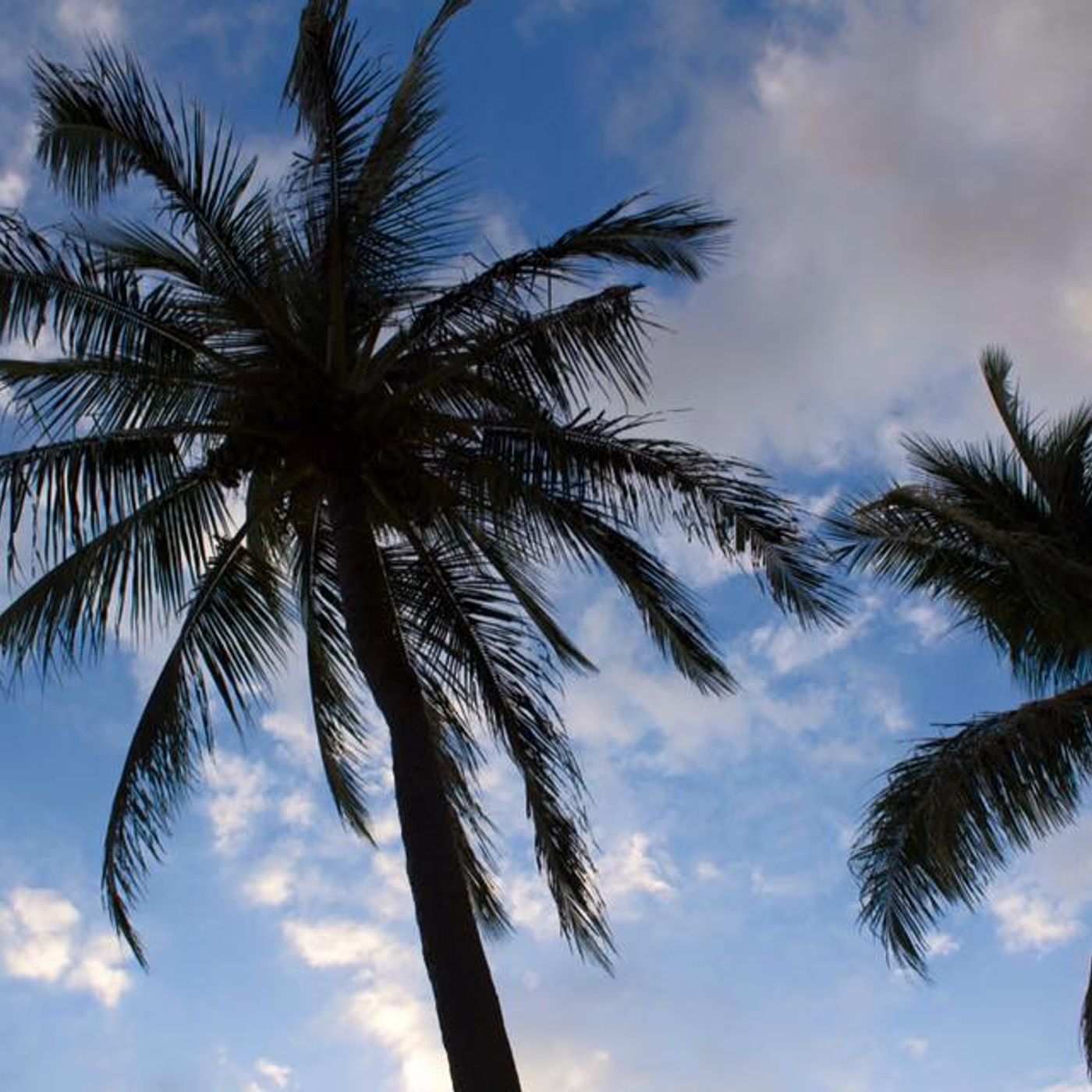 NEWS&WEATHERWatch for July 28, 2015 episode artwork