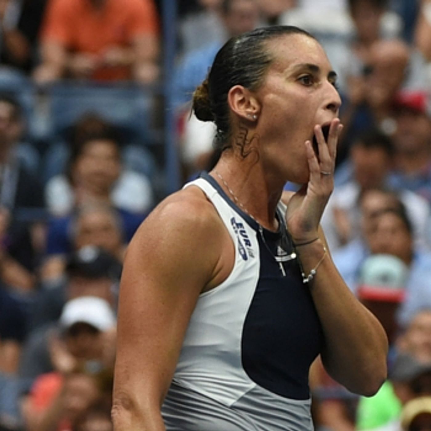 Pennetta wins 2015 US Open episode artwork