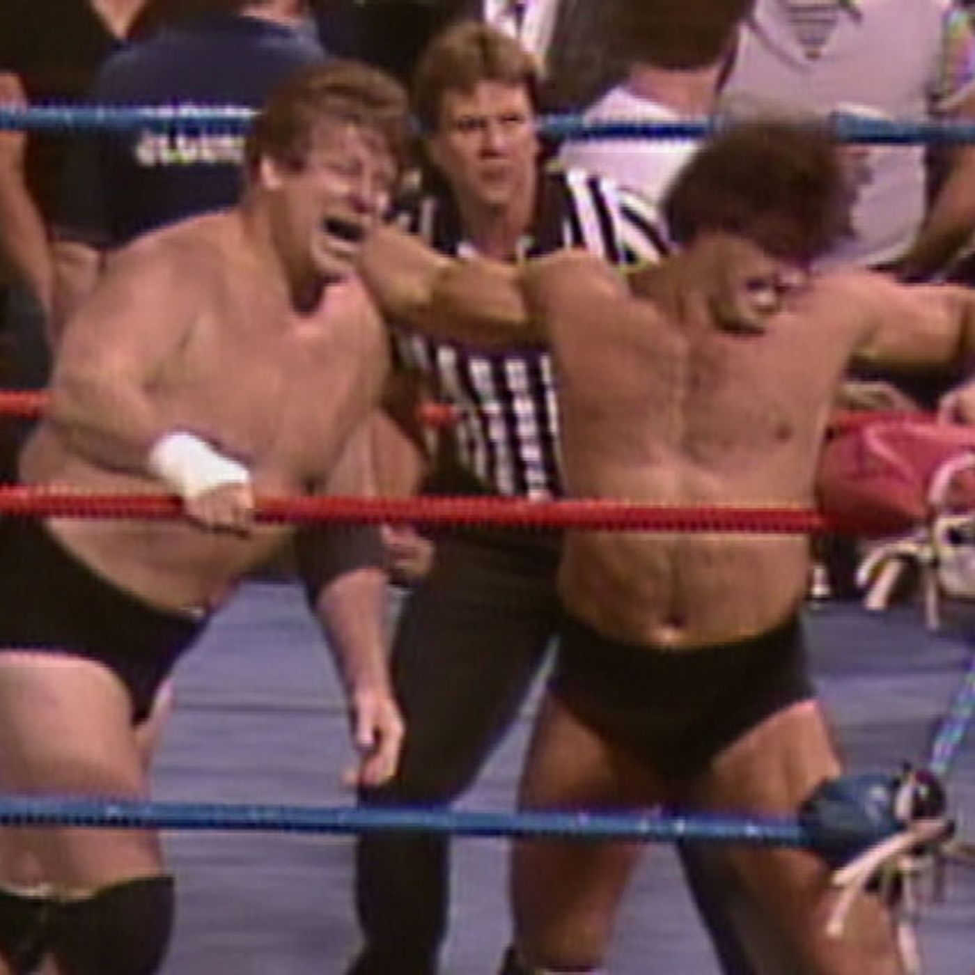 Wrestlespective