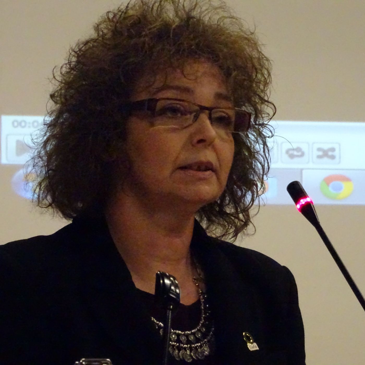Culture Minister @CaralNiChuilin addresses #VoicesForTheVoiceless event episode artwork