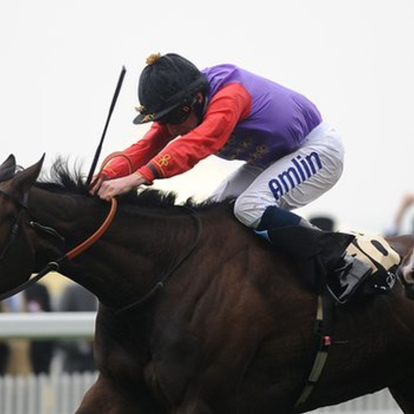 LISTEN: Racing pundit Bill Harvey assesses the national hunt meeting at Down Royal episode artwork