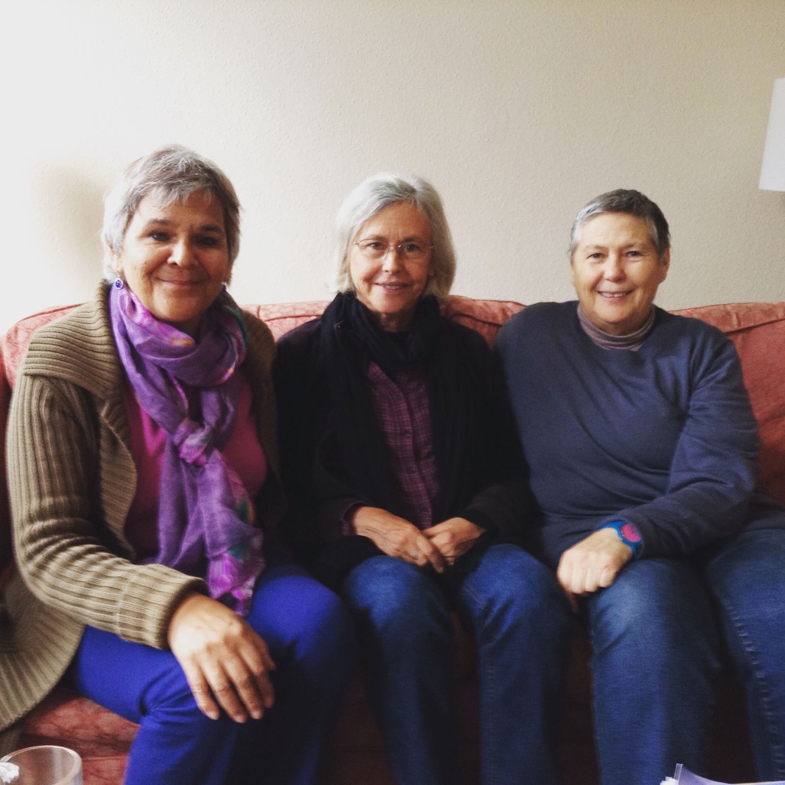 247: Paramachitta and Karunadevi share reflections on the Pan-American Convention episode artwork