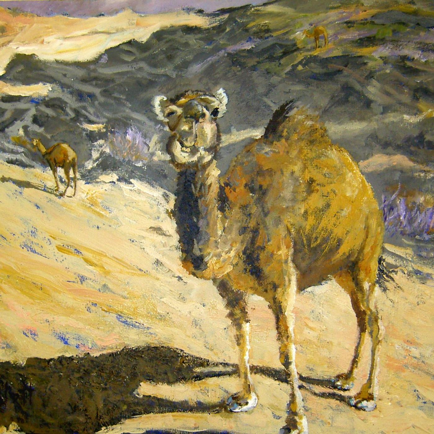Paintings of Morocco episode artwork