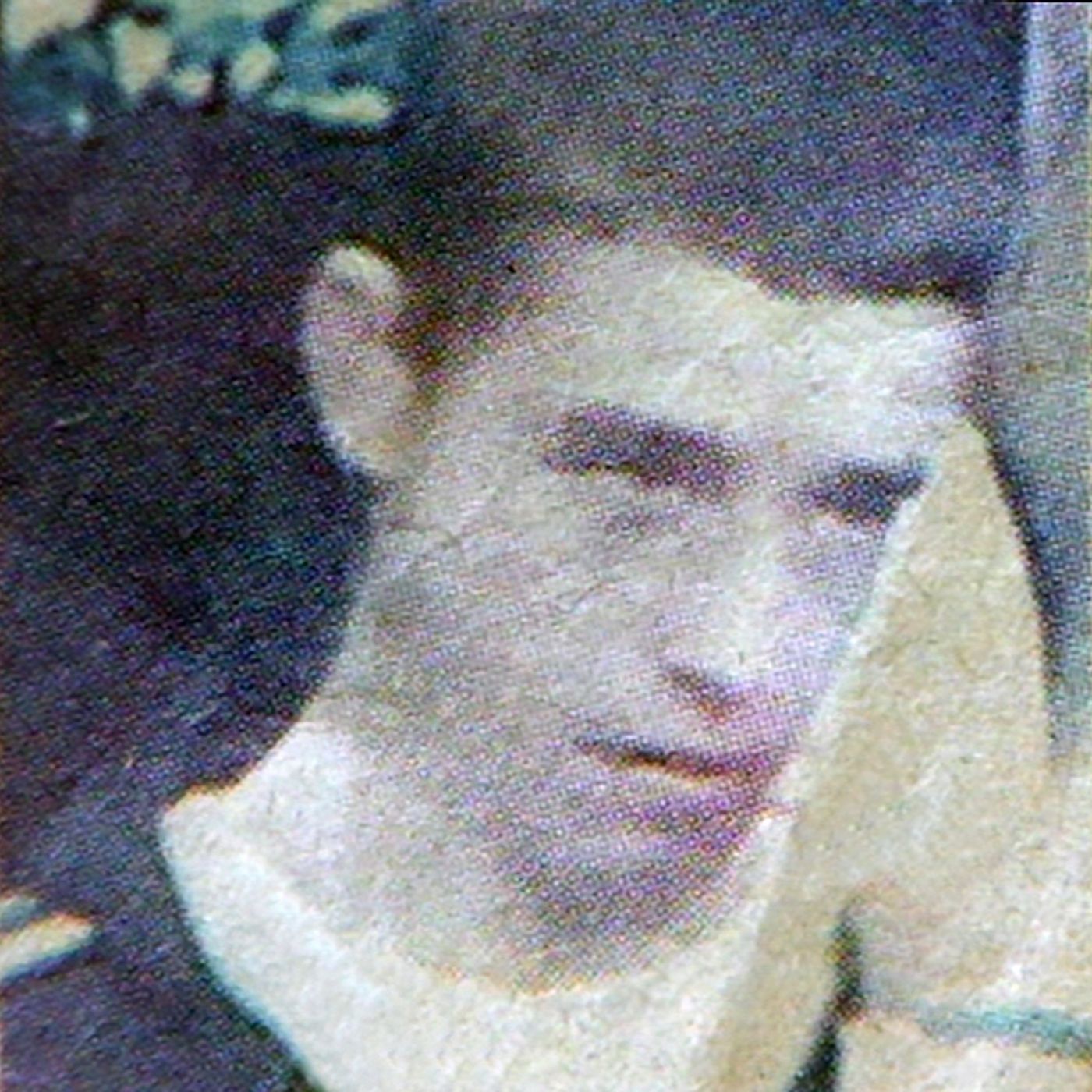 LISTEN: Derry mother thought son was dead after gun attack episode artwork