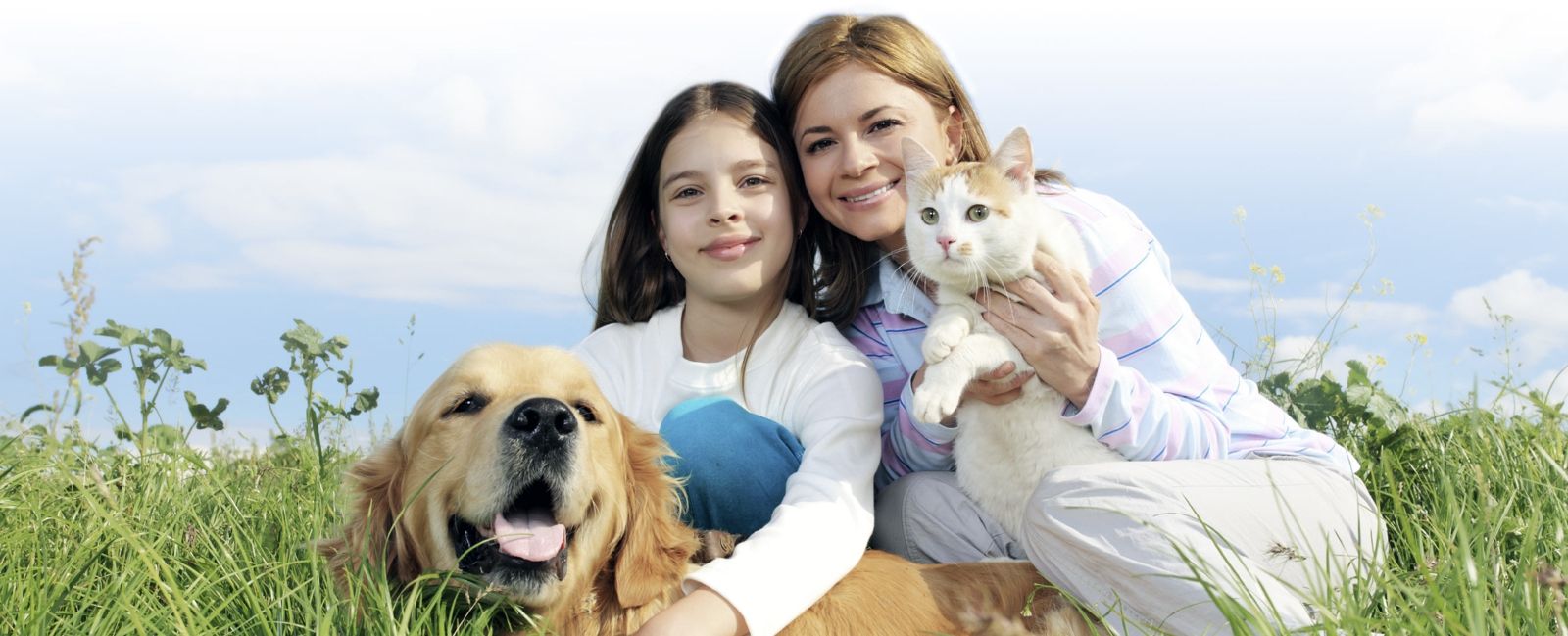 Many animal owners. Семья с животными баннер. Баннер собаки. Кошка для детей. Здоровая и счастливая собака.