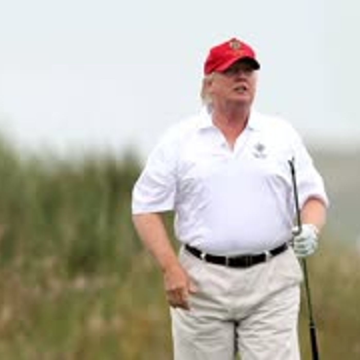 5: Trump loses turbines appeal episode artwork
