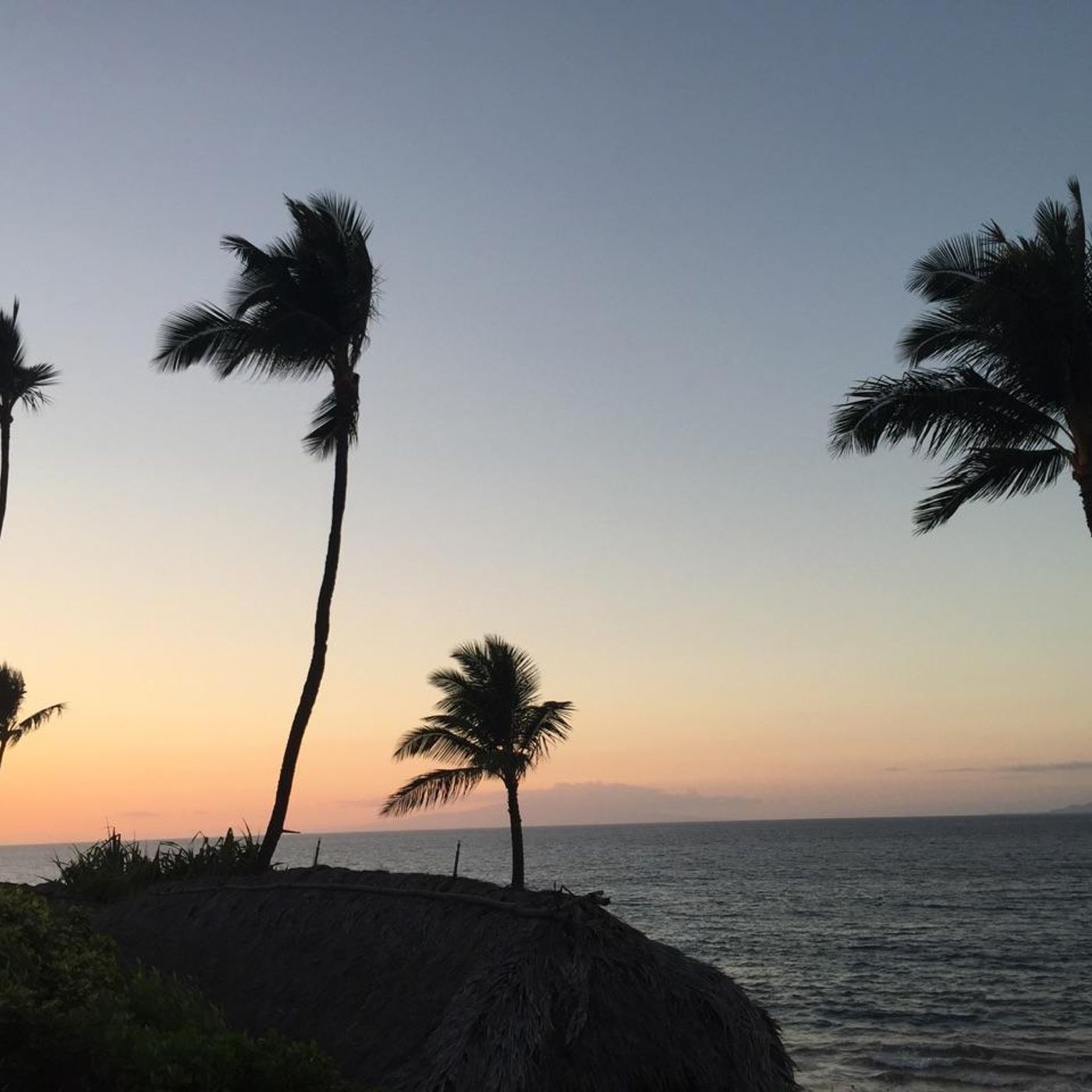 NEWS&WEATHERWatch for January 26, 2016 episode artwork
