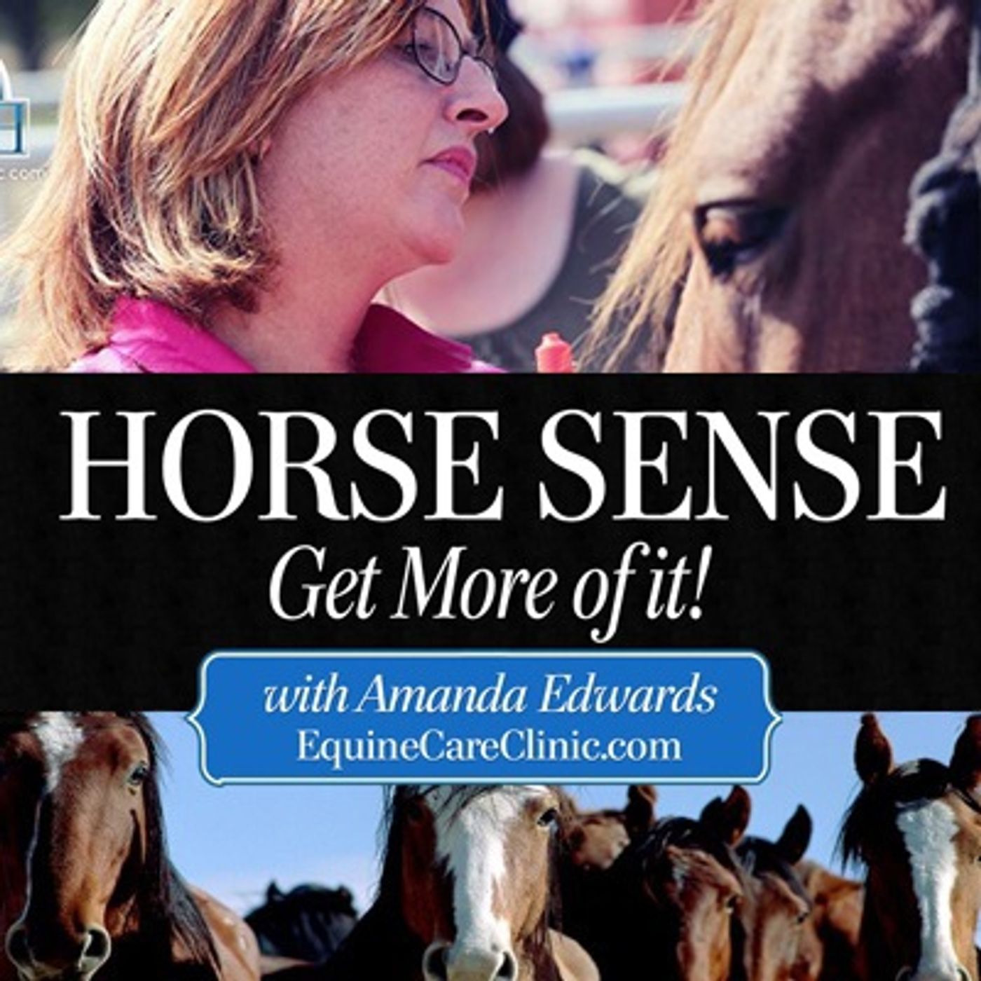 HorseSense Episode 2 - Want a calm, relaxed and happy horse?  Steve Brinkworth  talks 'No buck' training