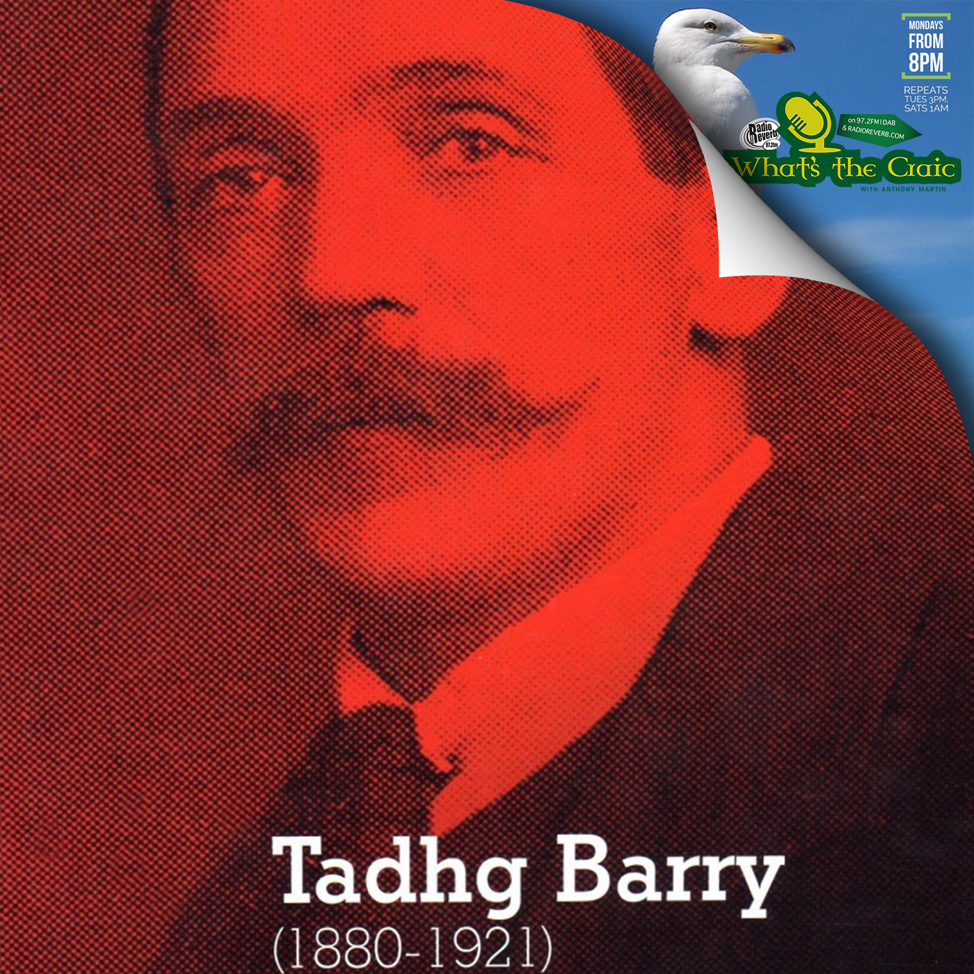 1916 - Tadhg Barry story told by his great nephew - Brighton resident Ty Galvin episode artwork