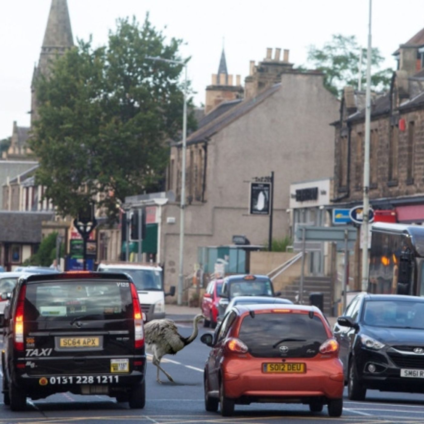 Arlene Fools Day - 1st Apr