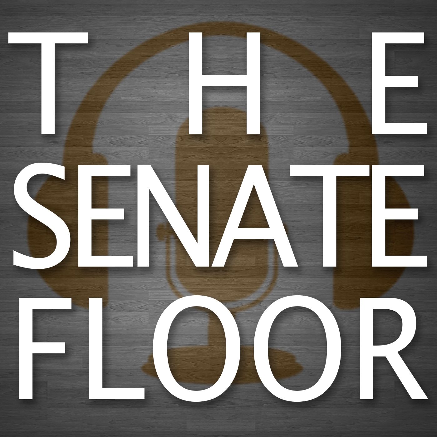 The Senate Floor