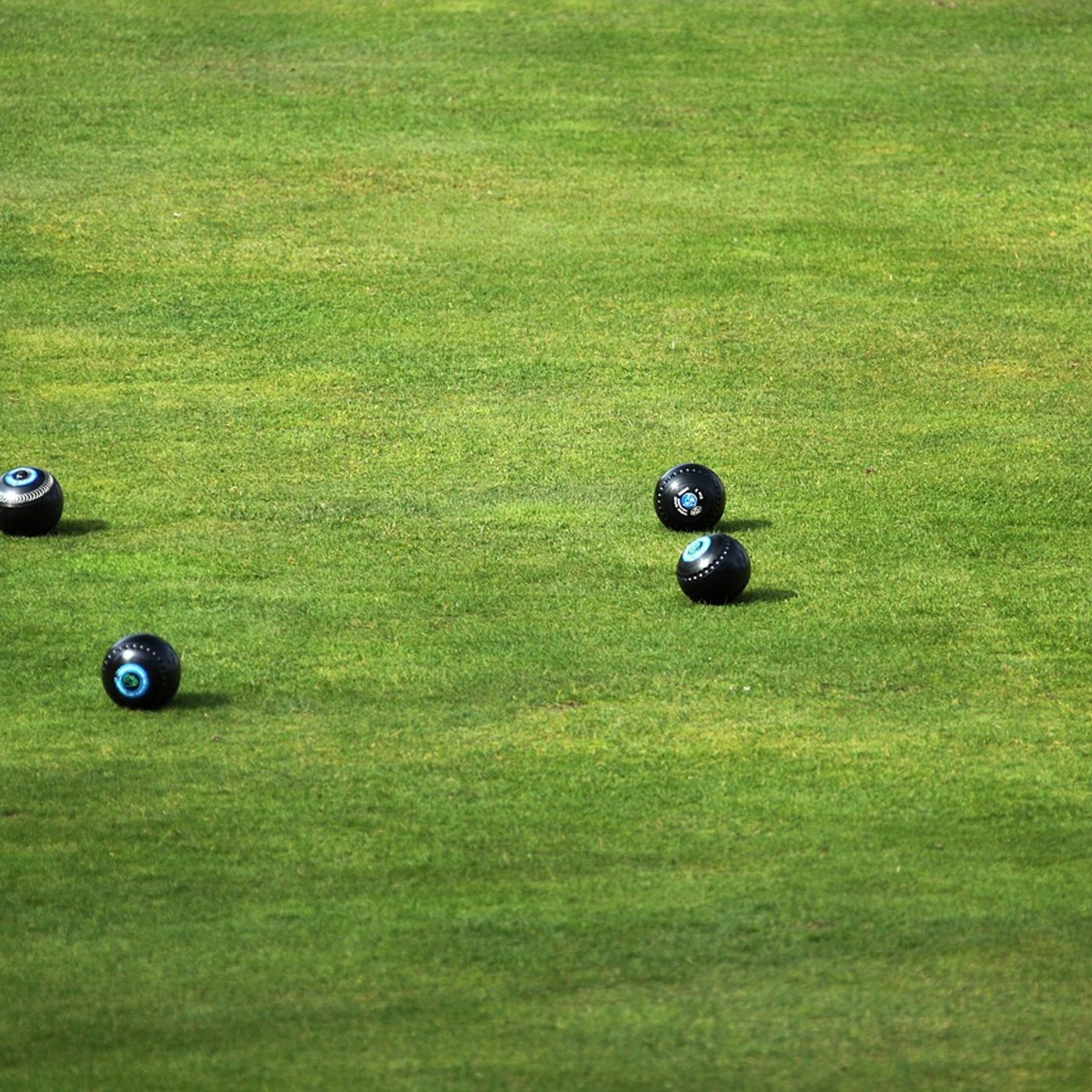 Grab life by the bowls - with the Black Swan Bowling Club