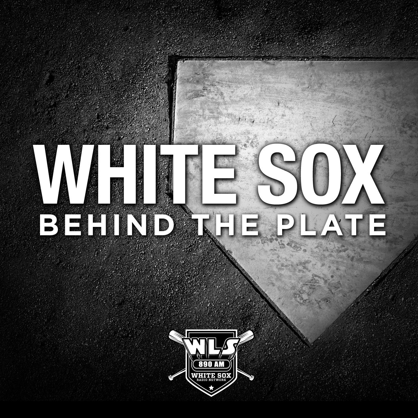 White Sox Behind The Plate