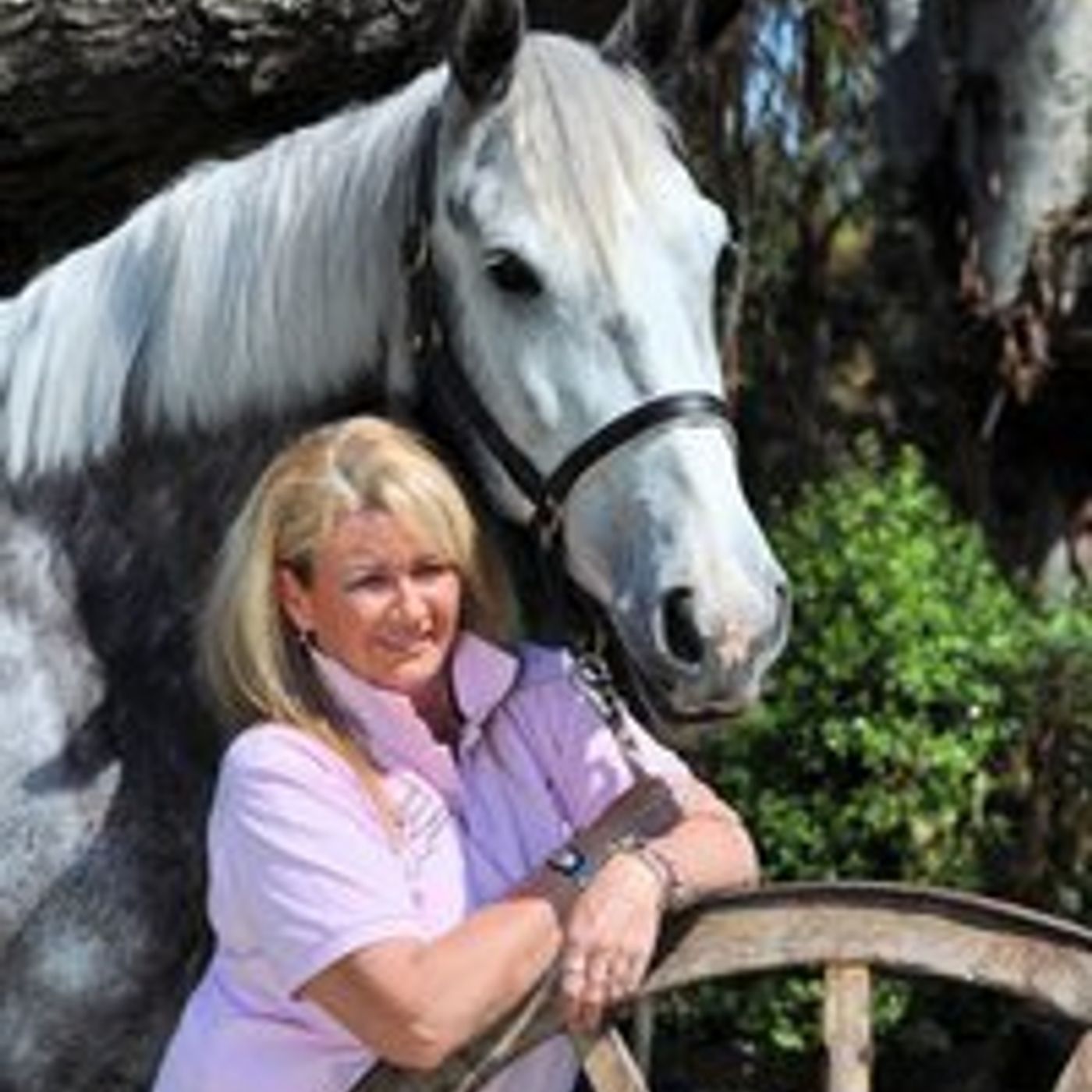 HorseSense Episode 12 - Overcoming self-doubt, fear and insecurity with Sandi Simons