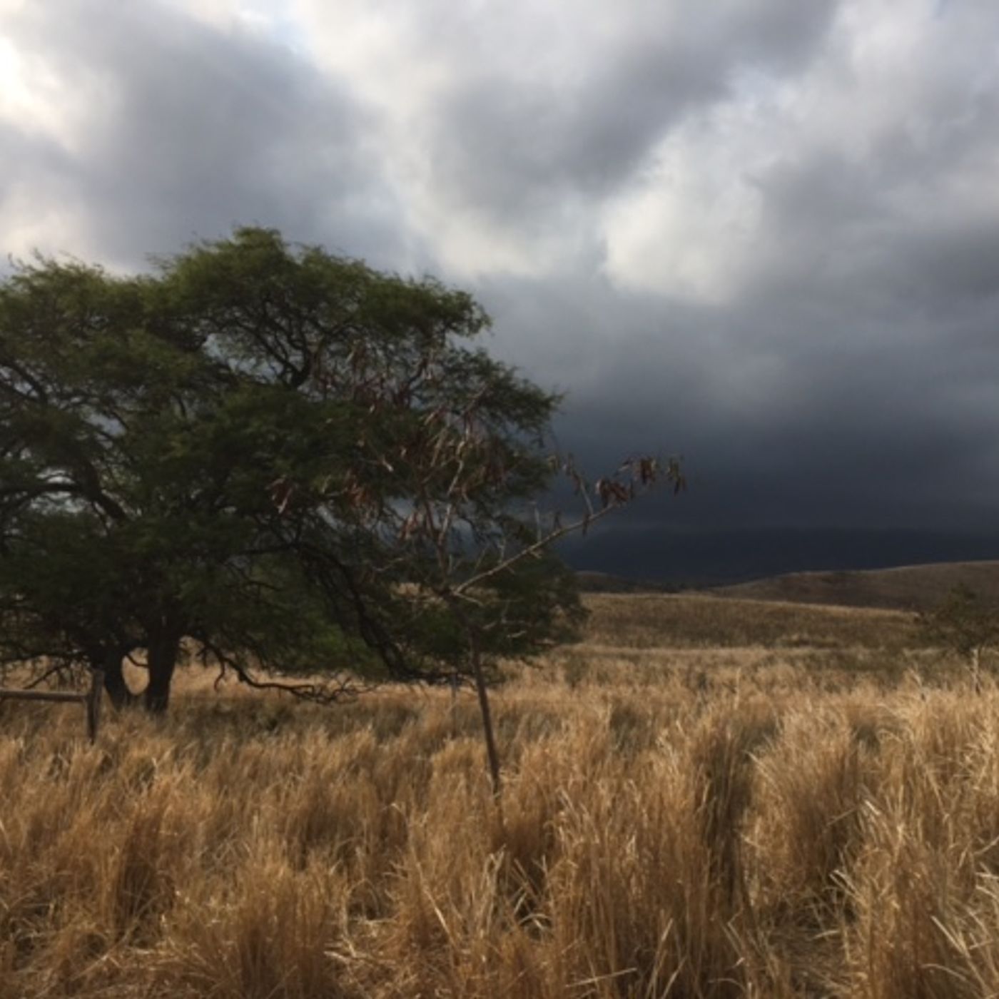 NEWS&WEATHER Watch for  April 27, 2016 episode artwork