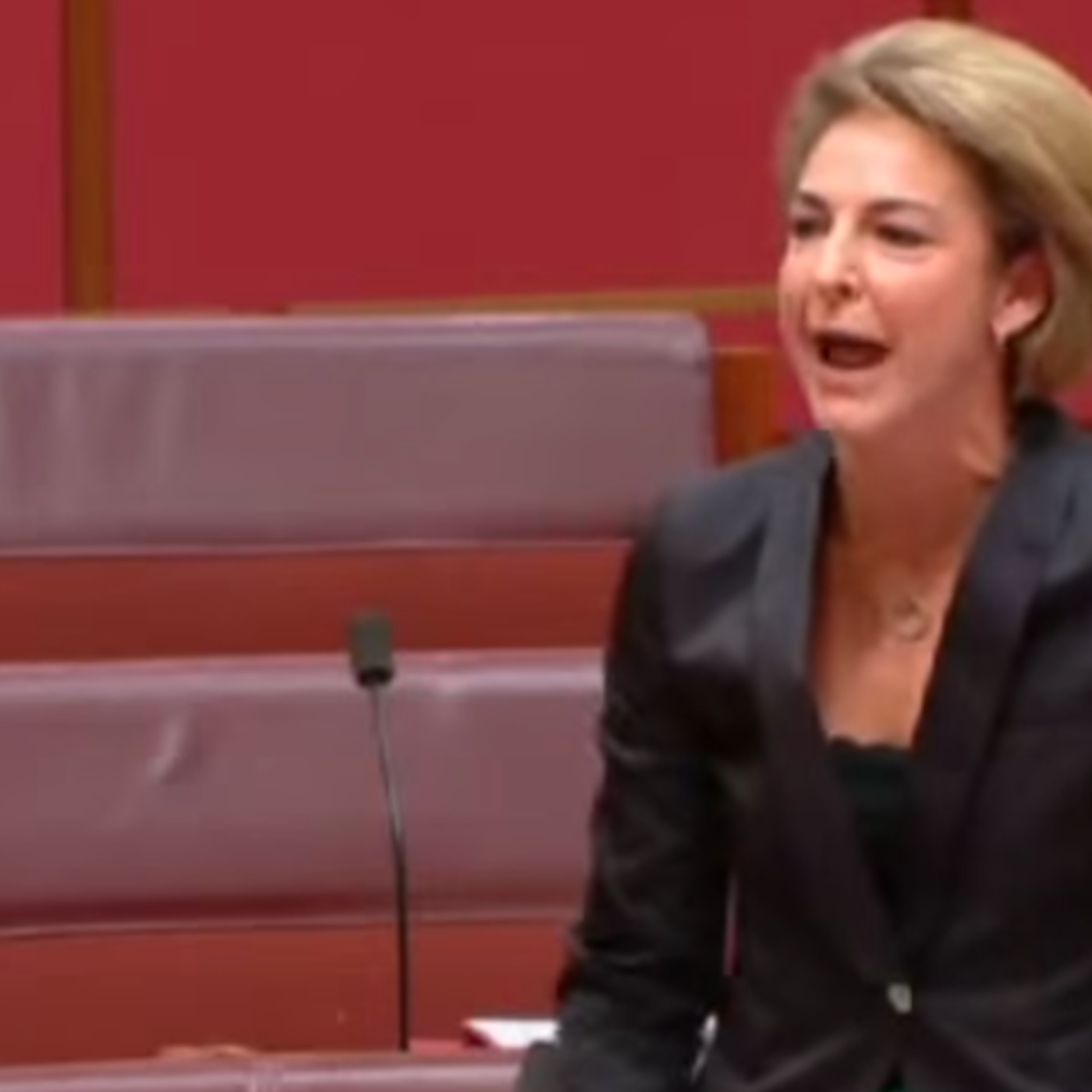 Minister for Employment Welfare dependancy farce episode artwork