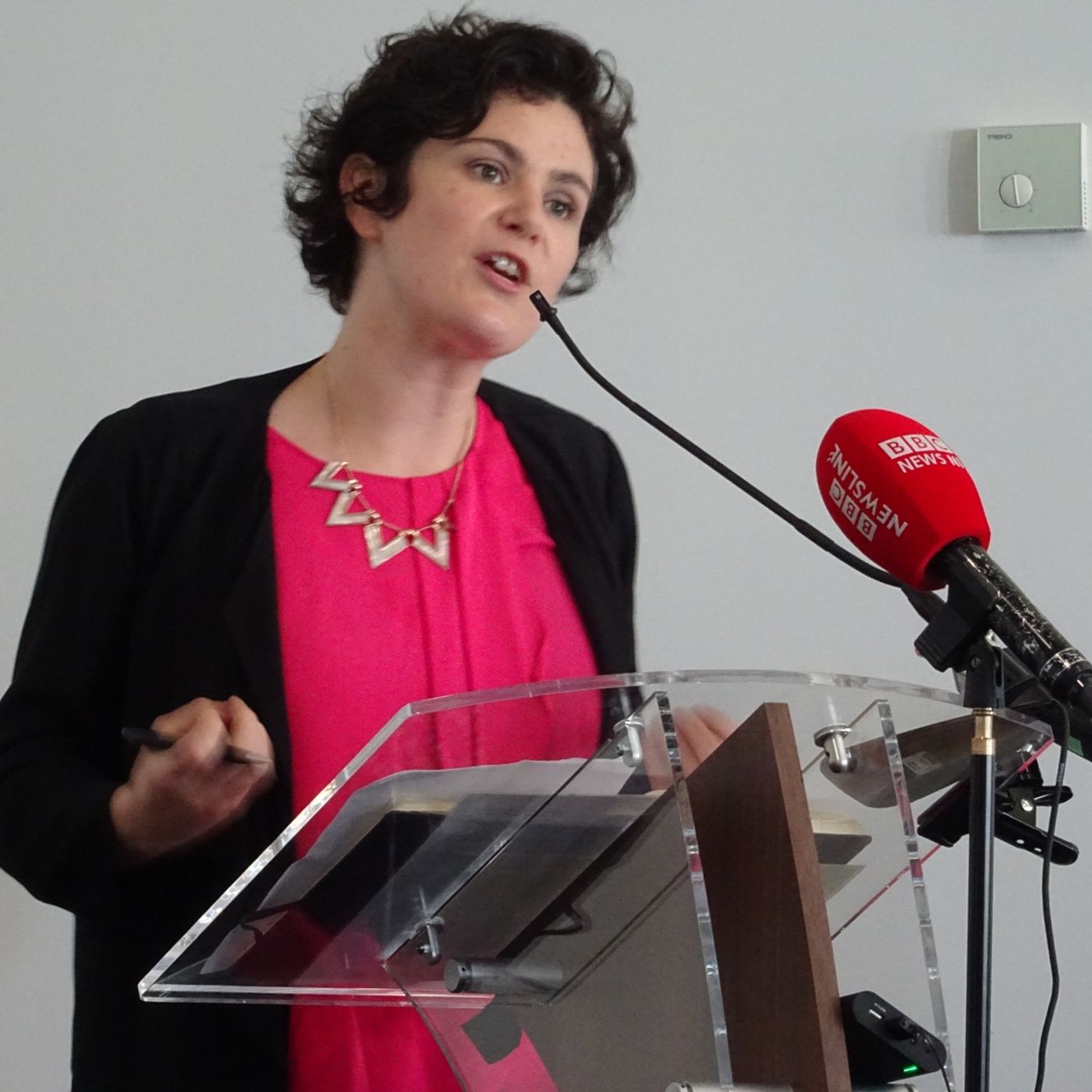 #EUDebateNI @ClaireHanna makes her pitch to remain in the EU #EUref episode artwork