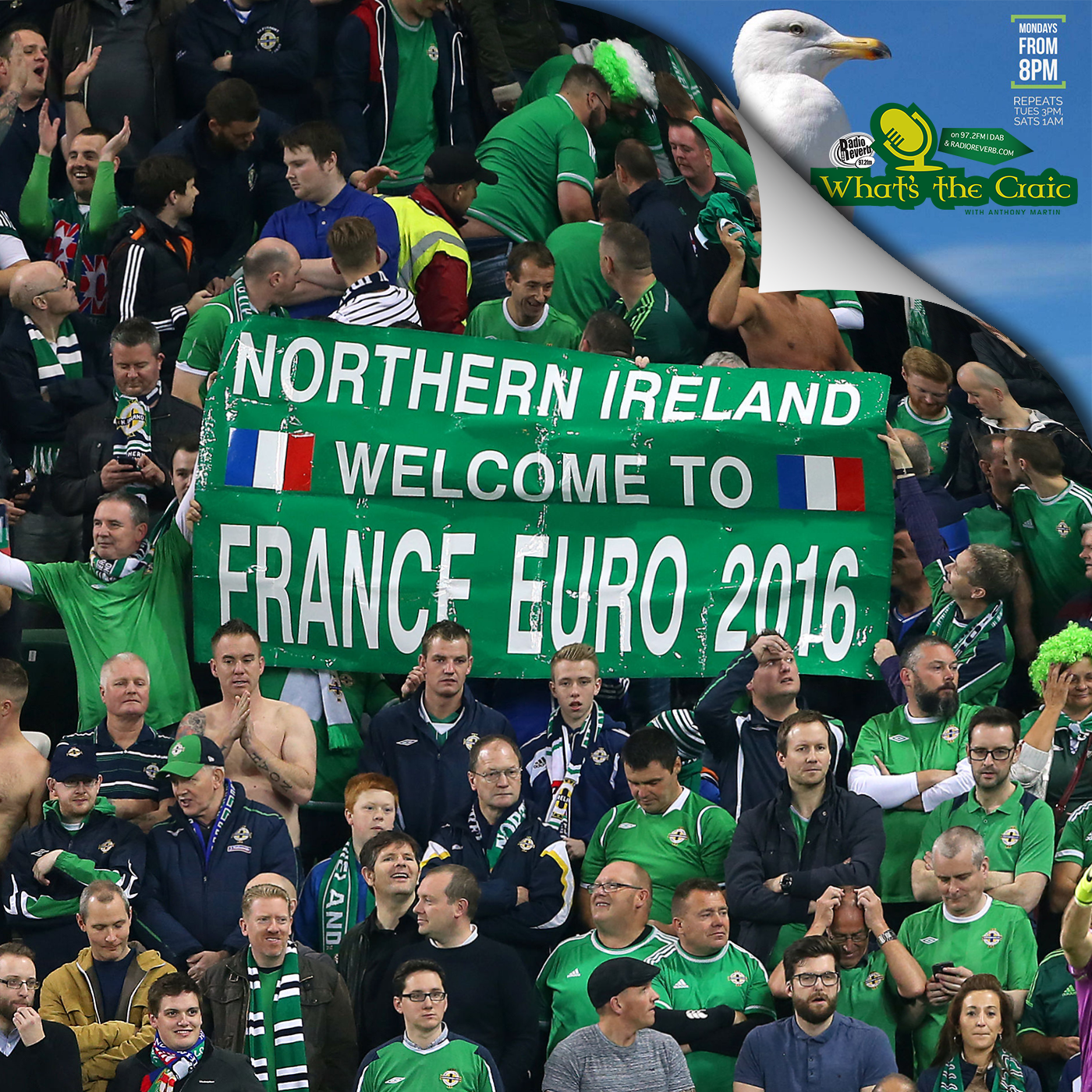 Euro 2016 : A chat with Martin Harris - editor of the Northern Ireland Football League website episode artwork