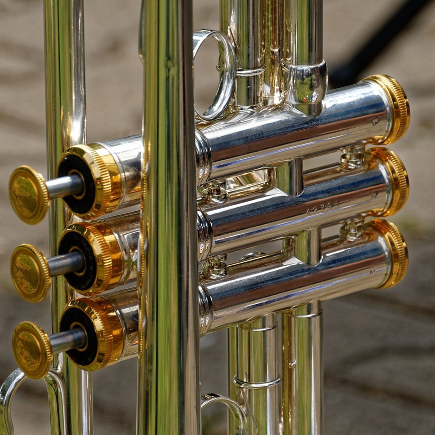 Brass bands, dark dramas and Gilbert & Sullivan - Box Office with HIC and Harrogate Theatre