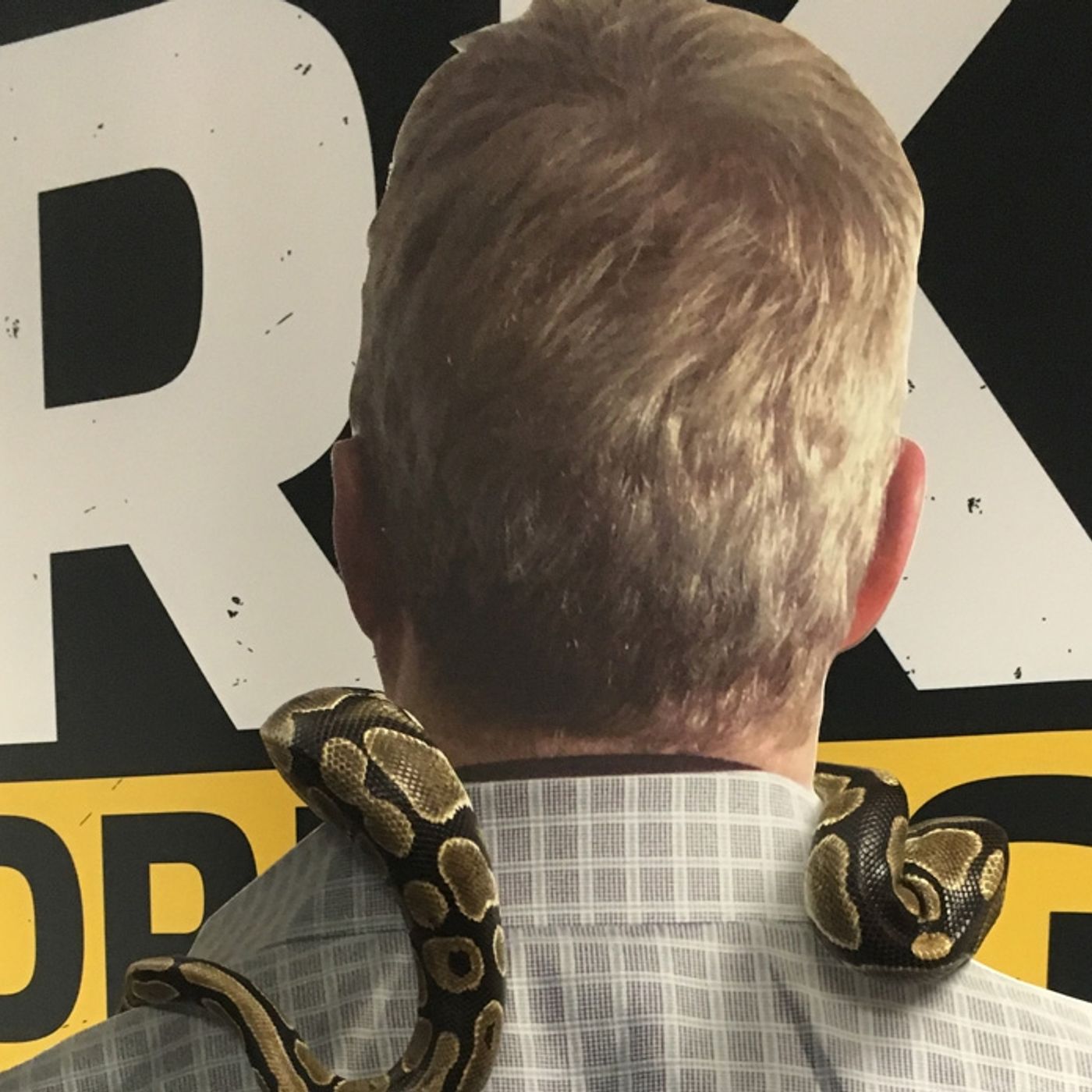 July 25, 2016: Snakes in the Mo#$erF&^%$#ng Studio thumbnail