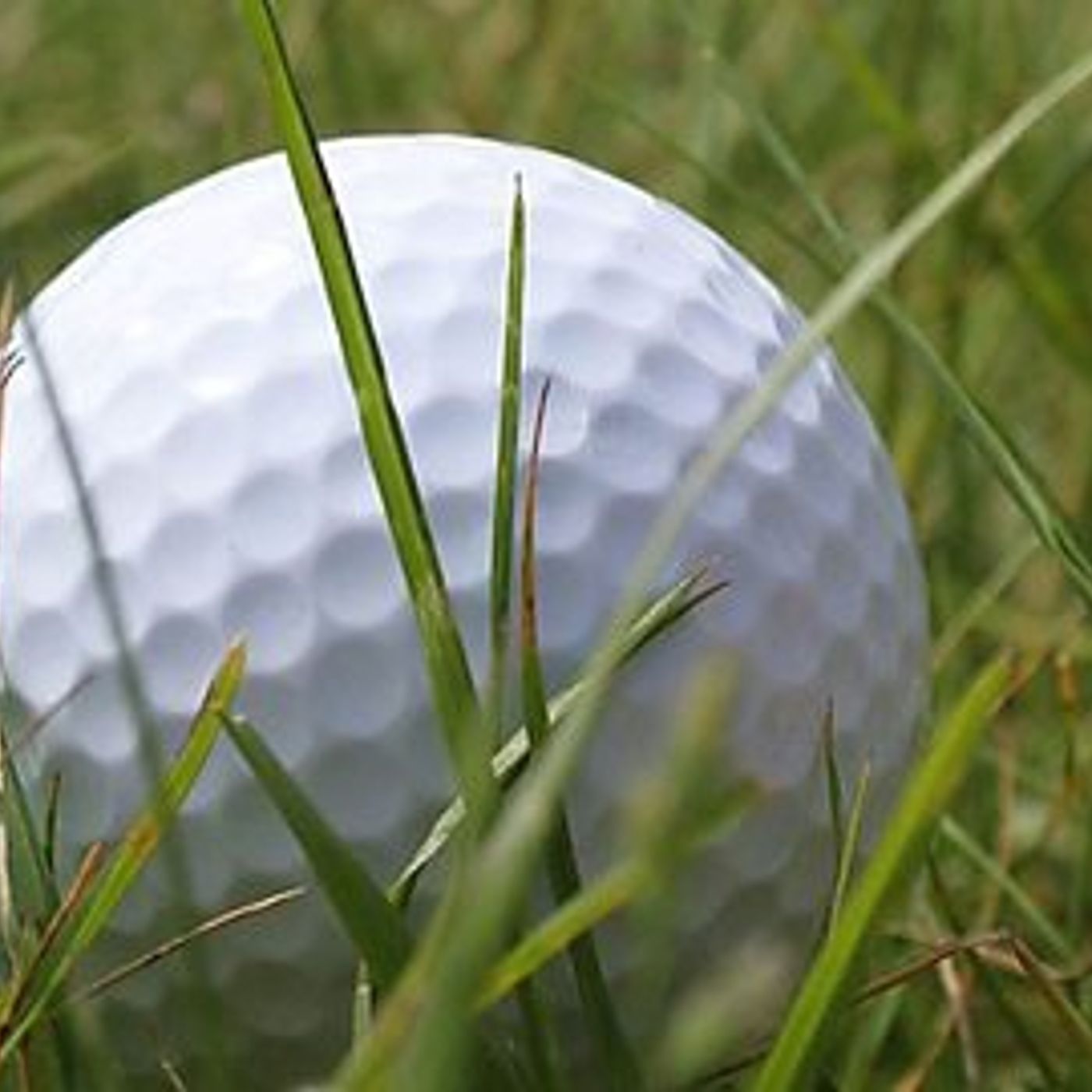 Listen: Will Portstewart businesses be ready for the Irish Open in 2017? episode artwork