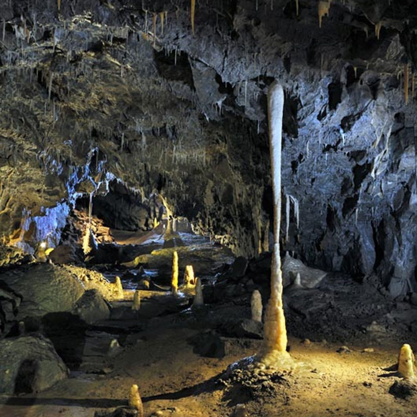Unlock the Secrets of Stump Cross Caverns