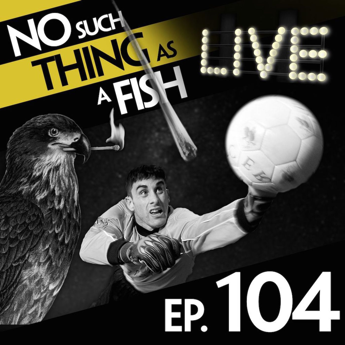 104: No Such Thing As A Herd Of Koalas