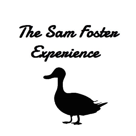 SamFosterExperience