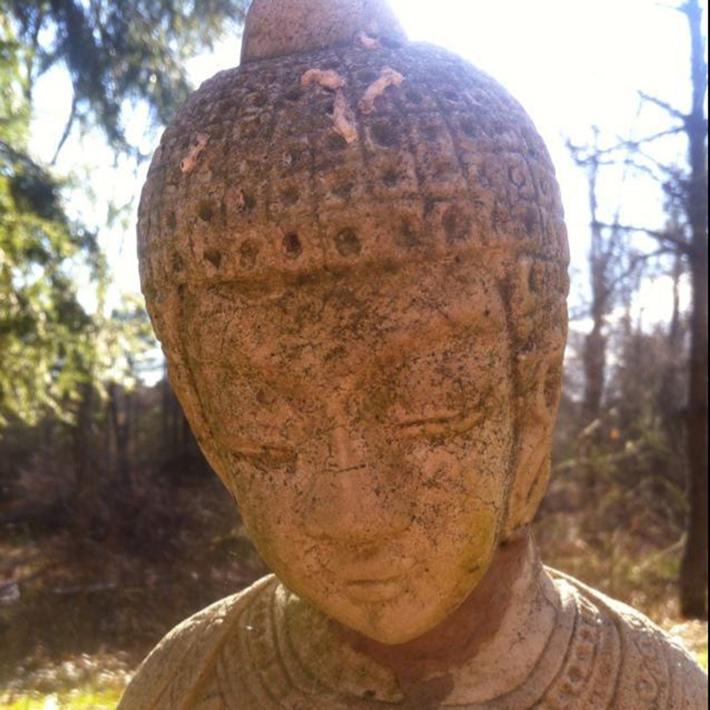 12: Happy Triratna Day! episode artwork